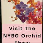 NYBG Orchid Show Poster