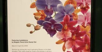 Visit The NYBG Orchid Show