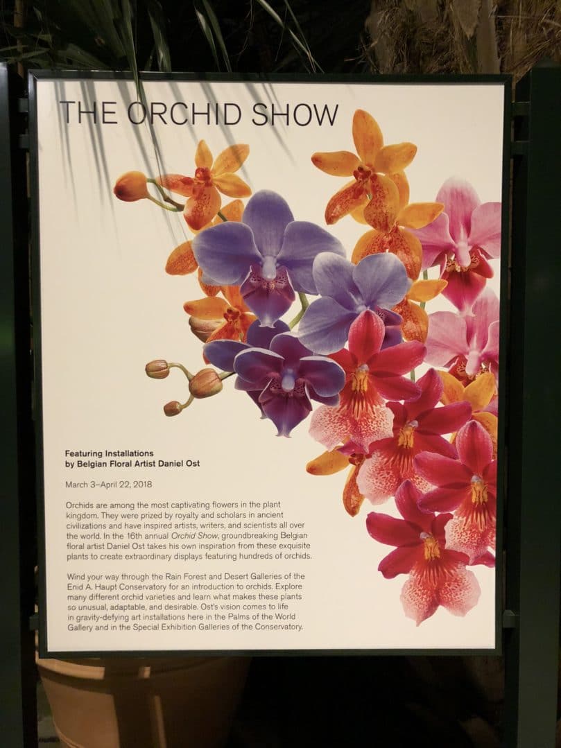 Visit the NYBG Orchid Show