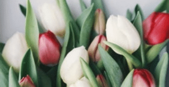 4 Reasons You Should Buy Flowers For Yourself