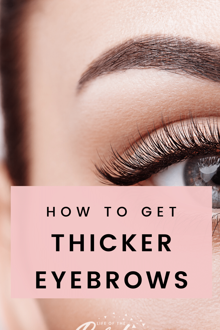 How To Get Thicker Eyebrows Life Of The Pardee 